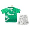 Maglia ufficiale Palmeiras Special Edition 2024 Verde per Bambino